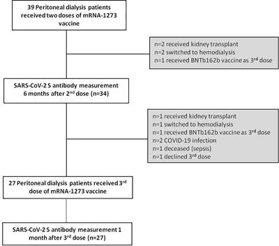 Humoral Response to mRNA-1273 SARS-CoV-2 Vaccine in Peritoneal Dialysis Patients: Is Boostering After Six Months Adequate?